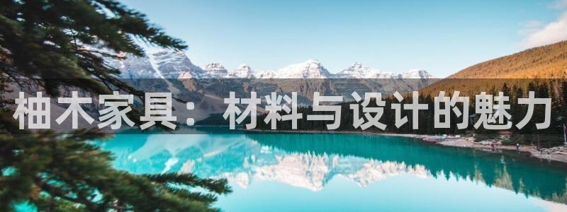 先锋娱乐简介图片