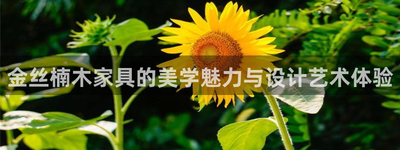 先锋电子旗下先锋娱乐