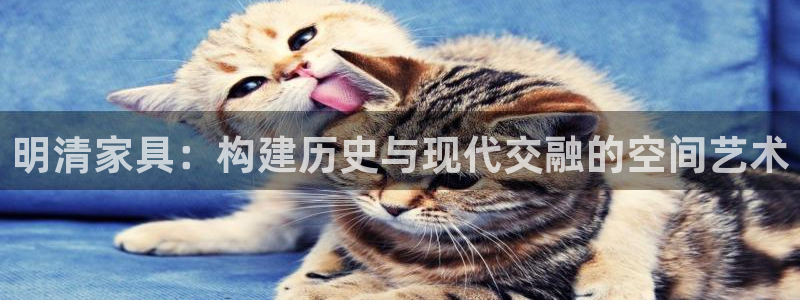 先锋娱乐入口