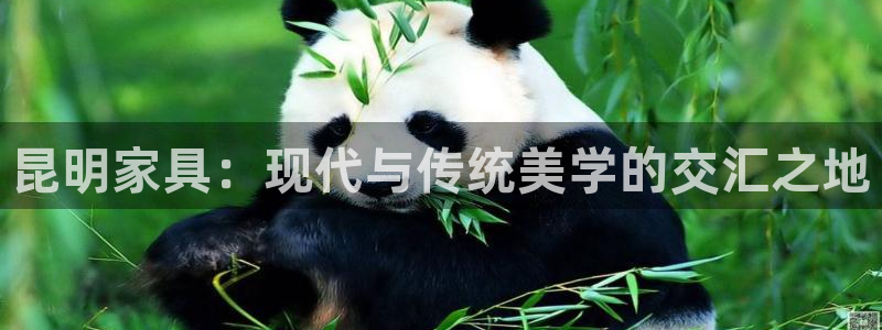 先锋娱乐汇