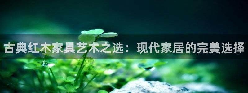 先锋娱乐体育