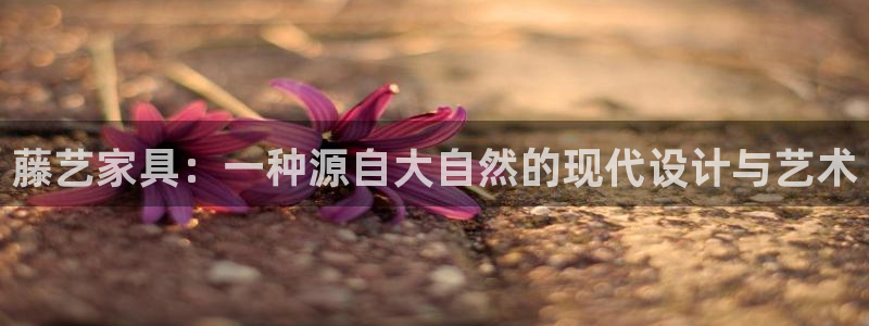 先锋岛娱乐