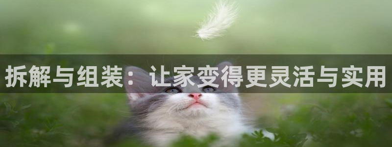 先锋娱乐侠