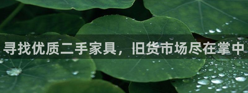 先锋娱乐游戏软件