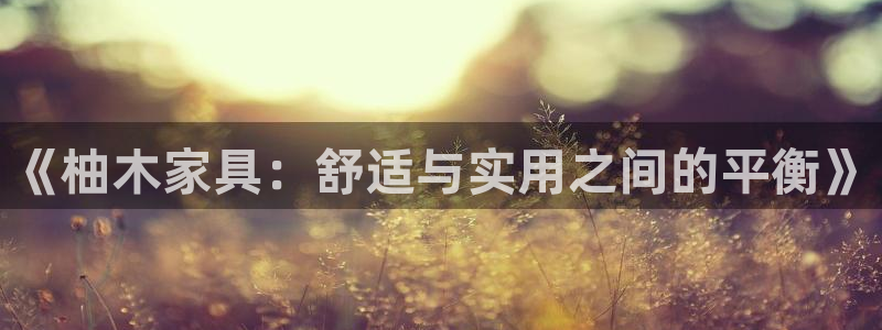 先锋综合娱乐