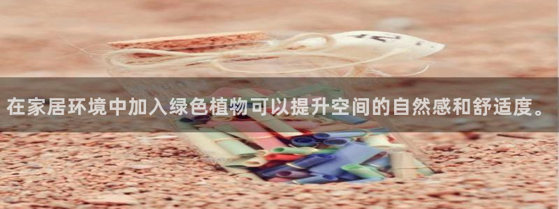 先锋国际娱乐