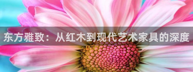 先锋娱乐传媒