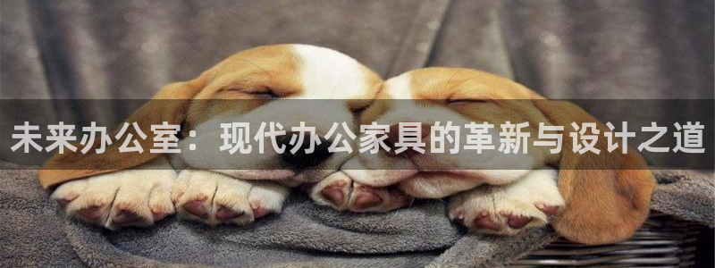 先锋娱乐管理集团