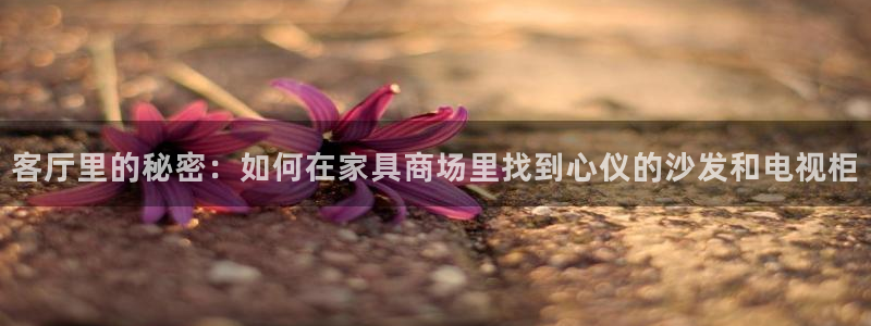 先锋娱乐资讯官网入口