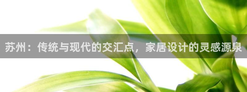 先锋娱乐游戏上分地址：苏州：传统与现代的交汇点，家居设计的灵