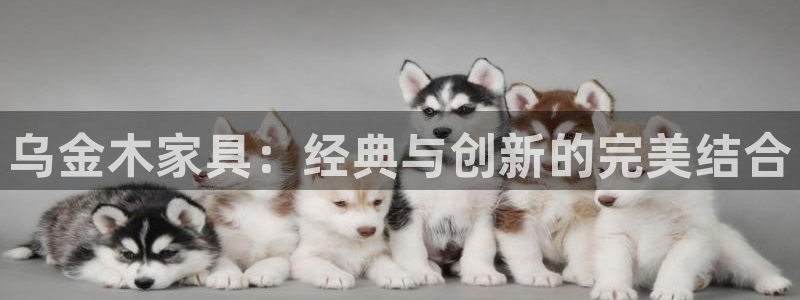 先锋娱乐情报