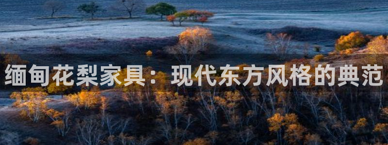 先锋娱乐游戏软件