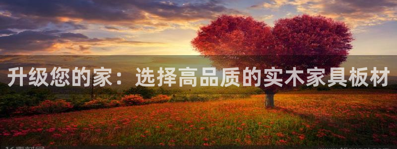 先锋娱乐体育管理集团