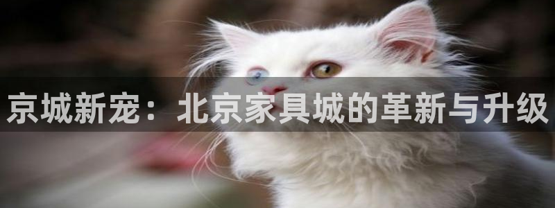 先锋娱乐管理集团