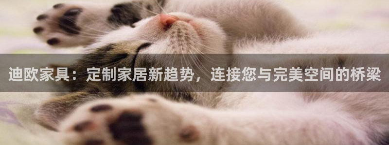 亚洲先锋娱乐行情