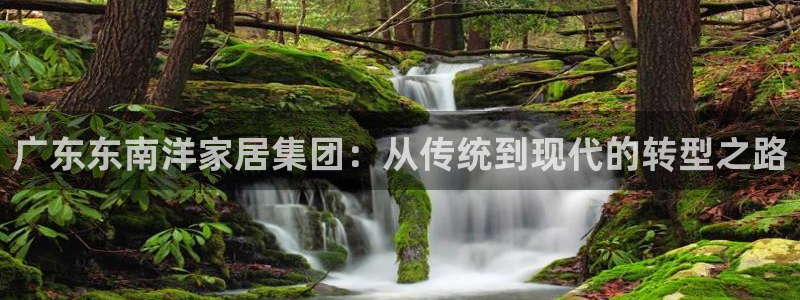 先锋娱乐邀请码多少位啊