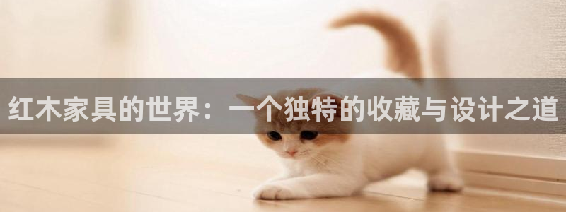 先锋娱乐大厅牛牛