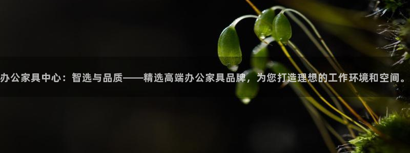 先锋娱乐电话