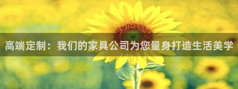 亚洲先锋娱乐登录：高端定制：我们的家具公司为您量身打造生活美