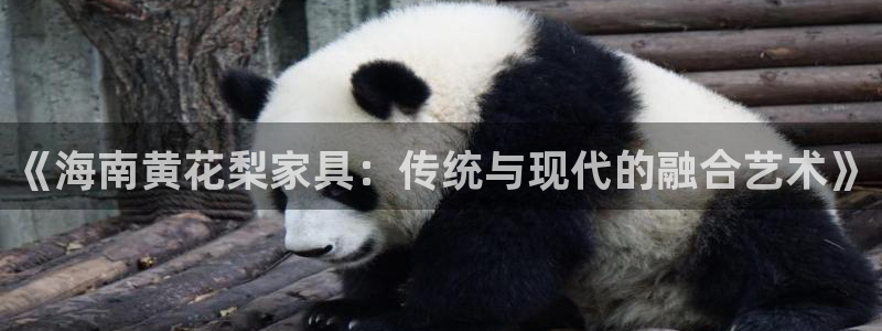 先锋娱乐大厅透视