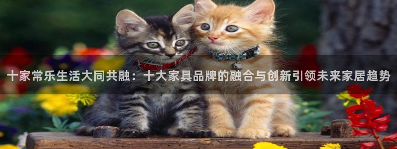 贵州先锋娱乐：十家常乐生活大同共融：十大家具品牌的融合与创新