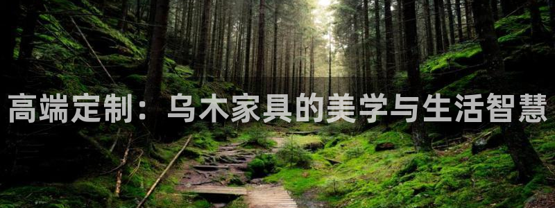 先锋娱乐集团公司