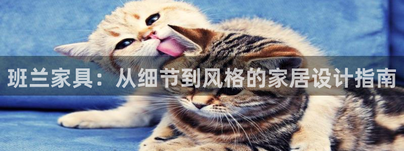 先锋娱乐注册：班兰家具：从细节到风格的家居设计指南