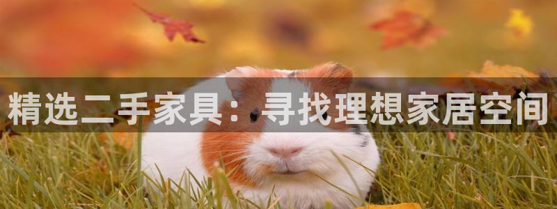 先锋游戏娱乐
