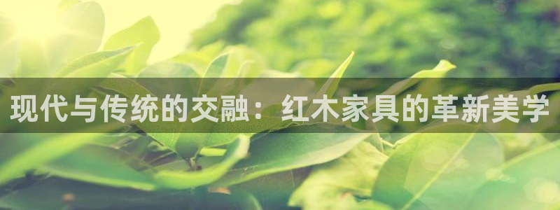 先锋娱乐管理集团：现代与传统的交融：红木家具的革新美学