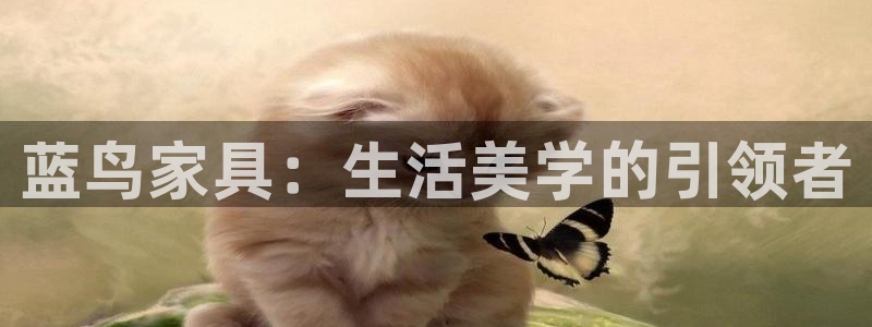 娱乐急先锋全集下载