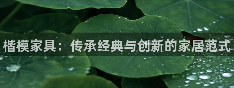 先锋娱乐大厅透视